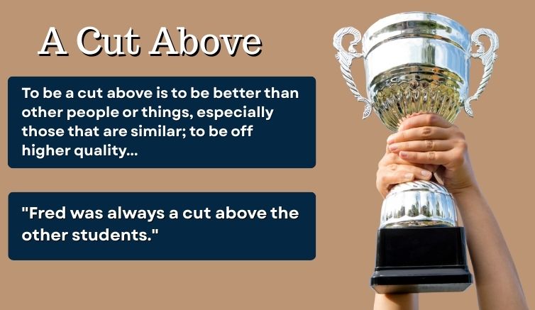 Meaning of the English idiom a cut above, with sentence example