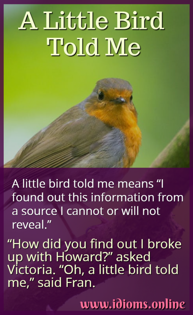 A Little Bird Told Me Idioms Online