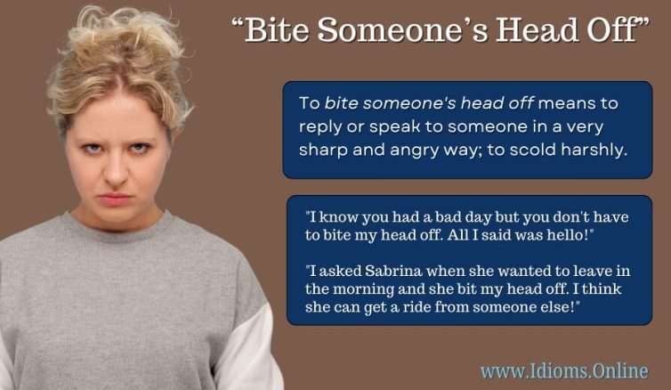 meaning of idiom "bite someone's head off"