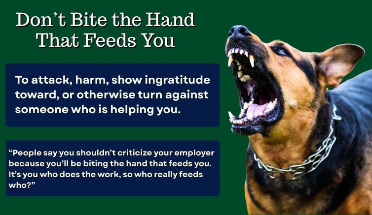 Infographic for the English idiom "don't bite the hand that feeds you" showing a ferocious dog ready to bite someone and giving the meaning "to attack,  harm, show ingratitude toward, or otherwise turn against someone who is helping you." 