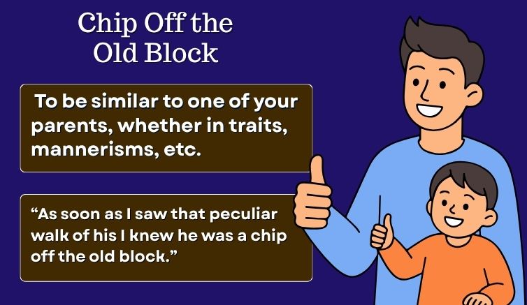 Infographic for the idiom 'chip off the old block' giving the meaning and a sentence example.