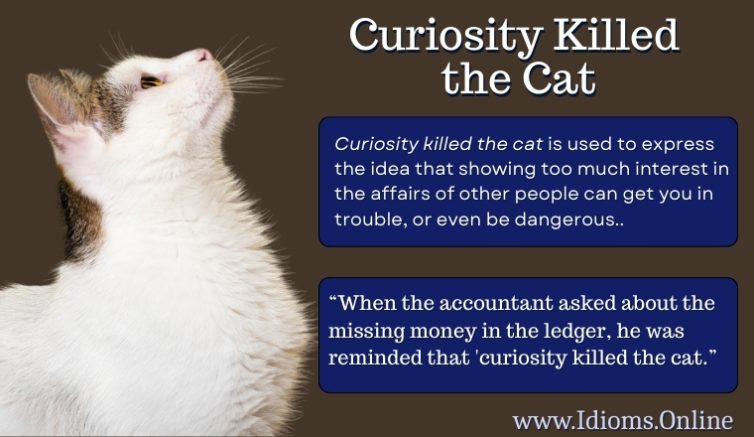 meaning of idiom curiosity killed the cat