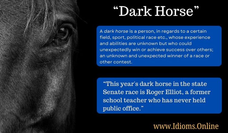 meaning of idiom "dark horse"