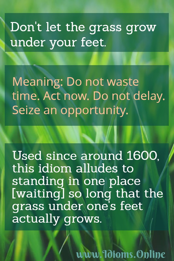 Let The Grass Grow Under One’s Feet Idioms Online