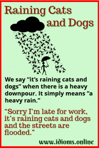 Raining Cats And Dogs | Idioms Online