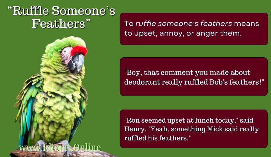 meaning of idiom 'ruffle someone's feathers"