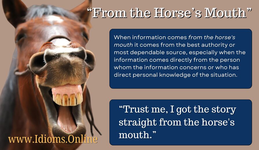 meaning of idiom "straight from the horse's mouth"