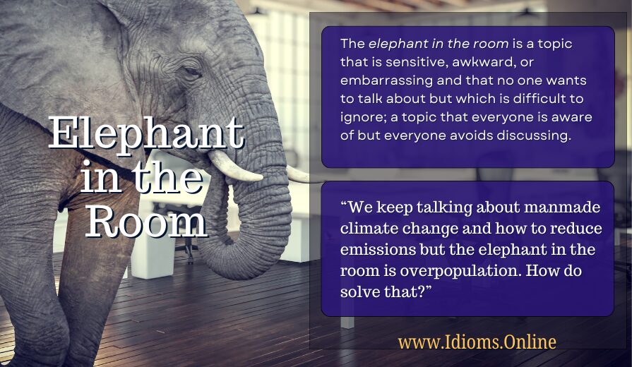 meaning of idiom "elephant in the room"