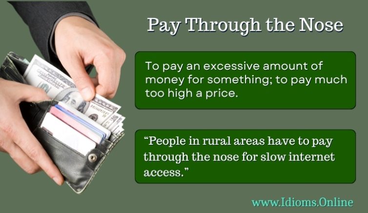 meaning of idiom pay through the nose