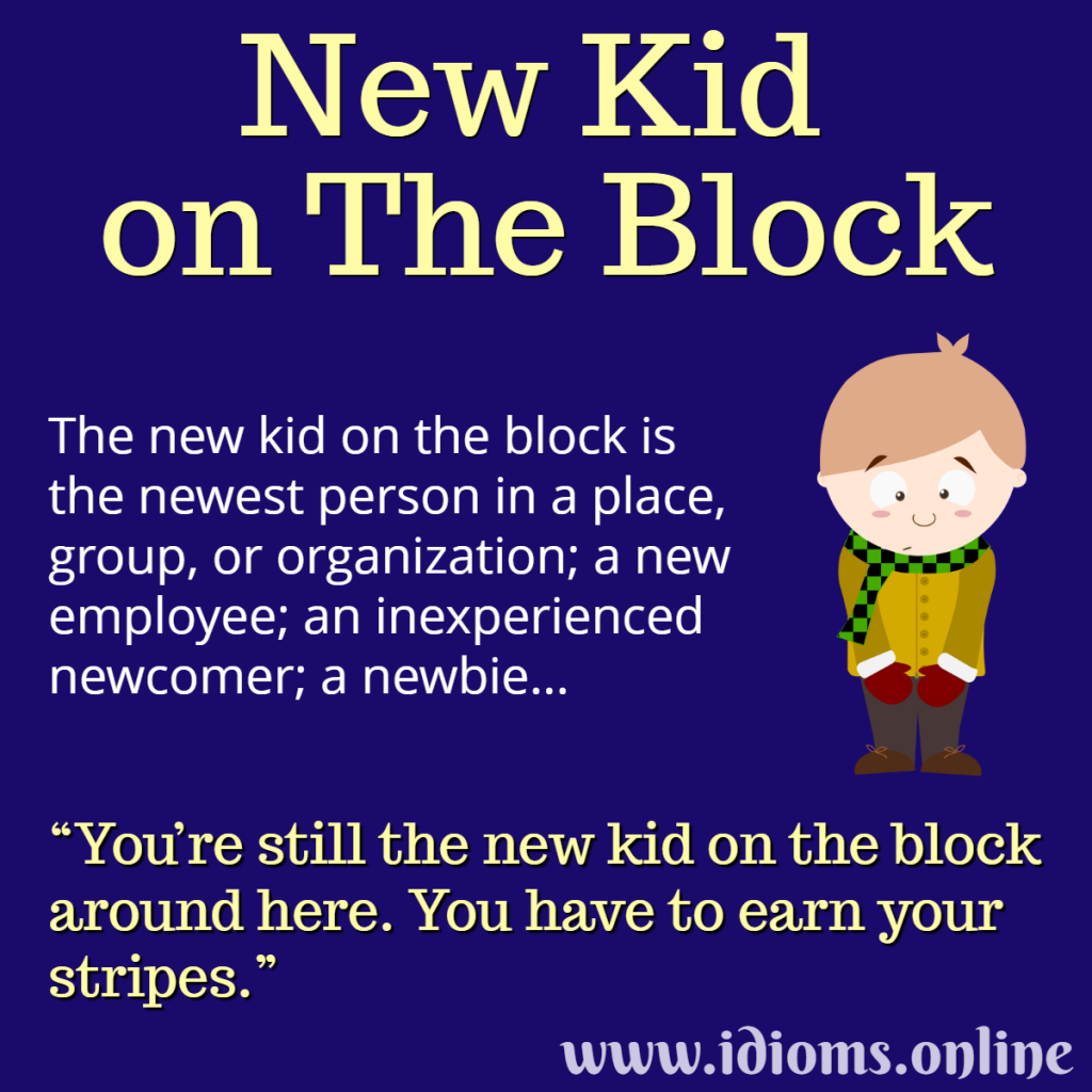 New Kid on the Block Idioms Online