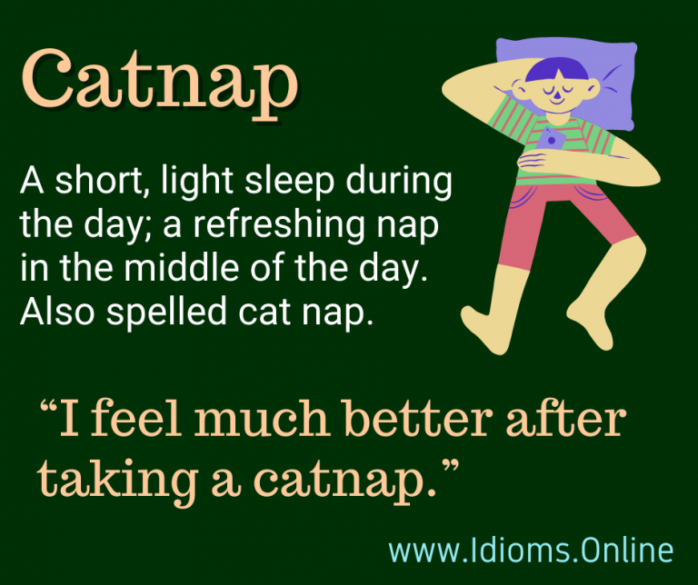 Catnap Idioms Online
