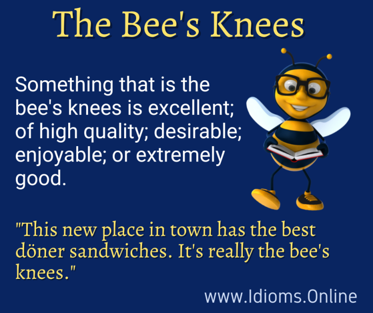 Meaning of English idiom The Bee's Knees