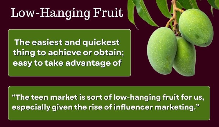 Infographic for the idiom "low-hanging fruit," giving the meaning of the expression and a sentence example. 