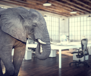 animal idioms elephant in the room