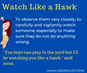 watch like a hawk meaning