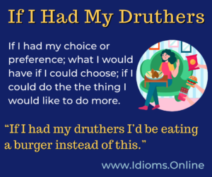 if I had my druthers idiom meaning