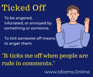 ticked off idiom meaning