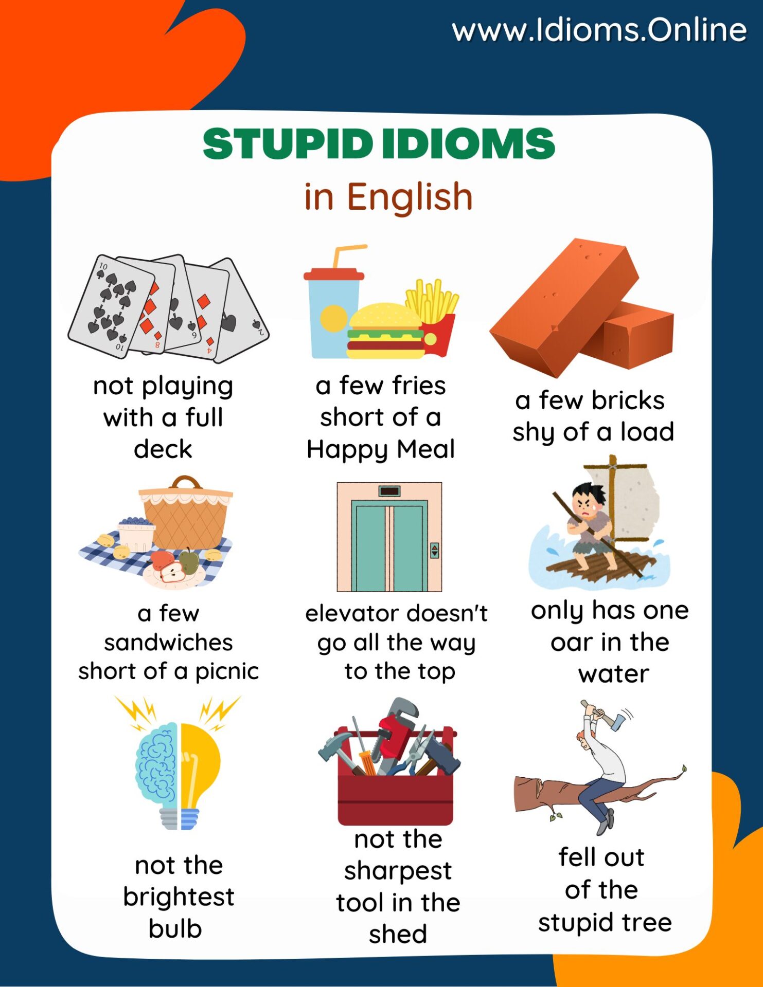 idioms for stupid in English, colorful ways to call someone dumb with pictures