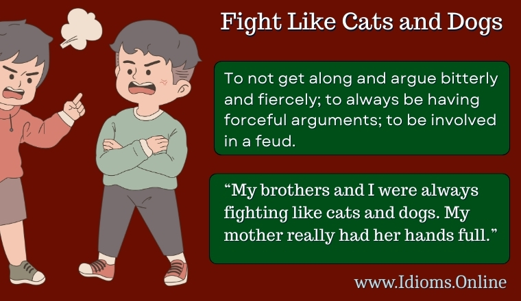 meaning of idiom fight like cats and dogs