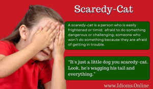 Scaredy-Cat | Idioms Online