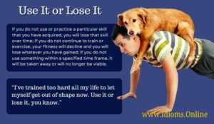 Use It or Lose It | Idioms Online